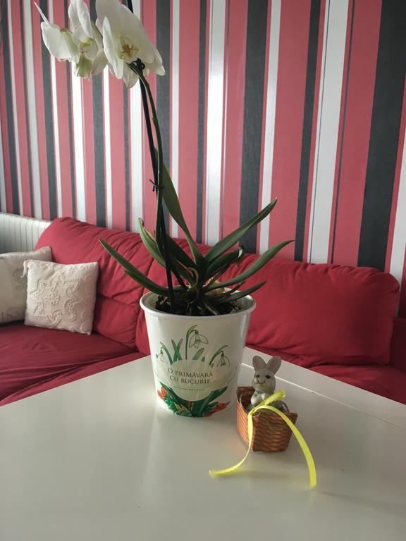 Dora City Apartament Apartment Cluj-Napoca Luaran gambar